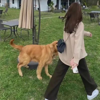 妈咪的小女孩